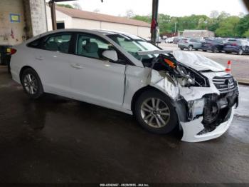  Salvage Hyundai SONATA