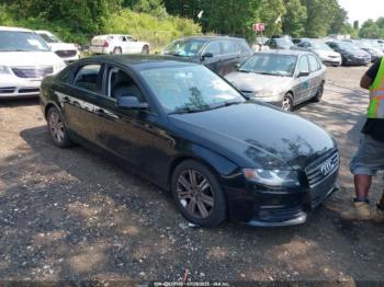  Salvage Audi A4