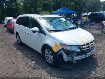  Salvage Honda Odyssey
