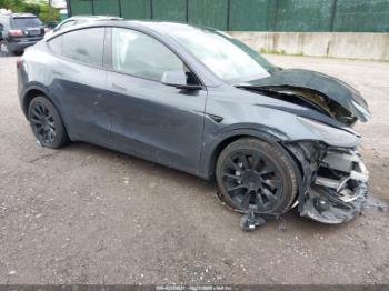  Salvage Tesla Model Y