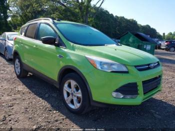  Salvage Ford Escape