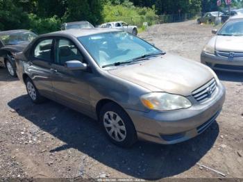  Salvage Toyota Corolla