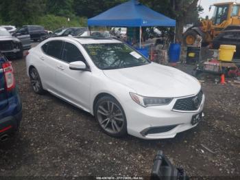  Salvage Acura TLX