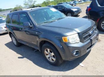  Salvage Ford Escape