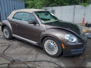  Salvage Volkswagen Beetle