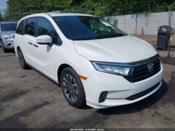  Salvage Honda Odyssey