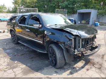  Salvage Cadillac Escalade