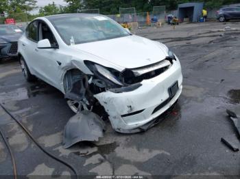  Salvage Tesla Model Y