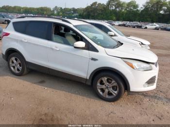  Salvage Ford Escape