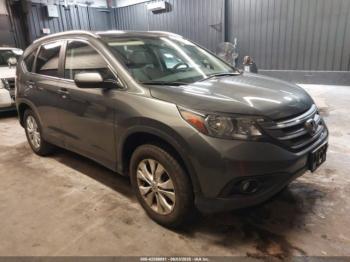  Salvage Honda CR-V