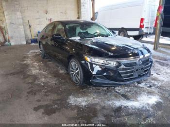  Salvage Honda Accord