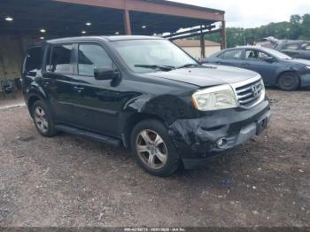  Salvage Honda Pilot
