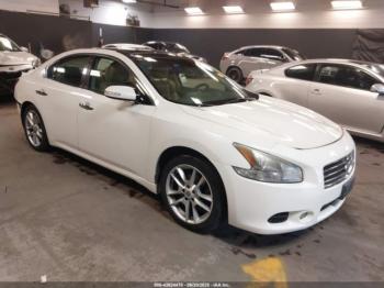  Salvage Nissan Maxima