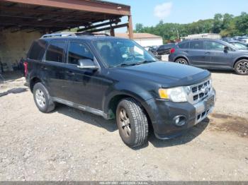 Salvage Ford Escape