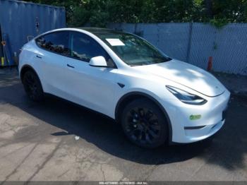  Salvage Tesla Model Y