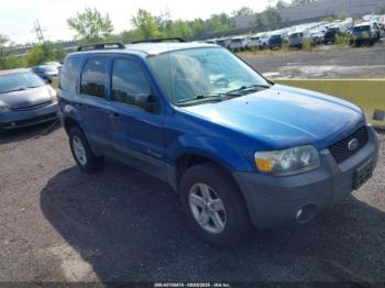  Salvage Ford Escape