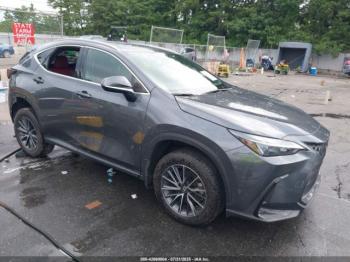  Salvage Lexus NX