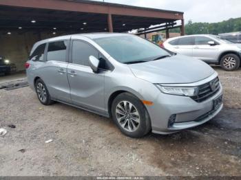  Salvage Honda Odyssey