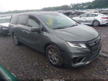  Salvage Honda Odyssey