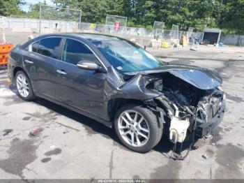  Salvage Nissan Maxima