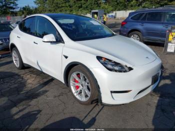  Salvage Tesla Model Y