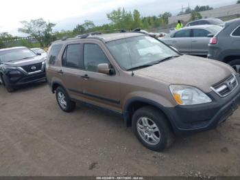  Salvage Honda CR-V