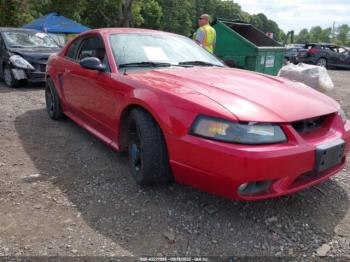  Salvage Ford Mustang
