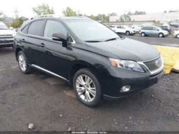 Salvage Lexus RX