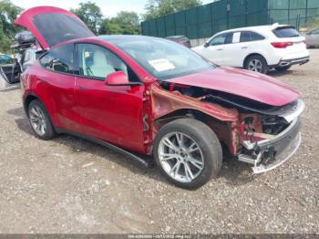  Salvage Tesla Model Y