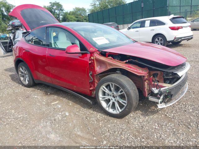  Salvage Tesla Model Y