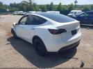 Tesla Model Y Image 4