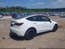 Tesla Model Y Image 3
