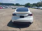 Tesla Model Y Image 11