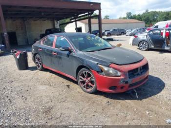  Salvage Nissan Maxima