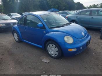  Salvage Volkswagen Beetle
