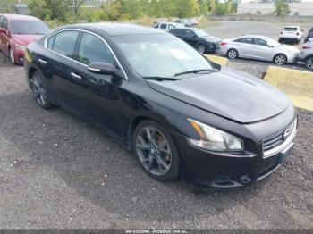  Salvage Nissan Maxima