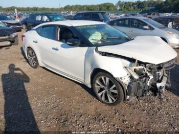  Salvage Nissan Maxima