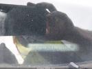Ford Fiesta Se Image 4