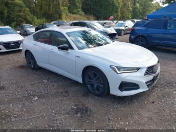  Salvage Acura TLX