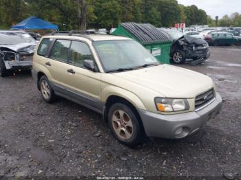  Salvage Subaru Forester