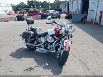  Salvage Harley-Davidson Flstci