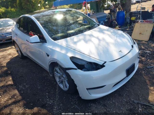  Salvage Tesla Model Y
