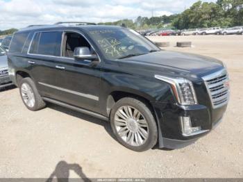  Salvage Cadillac Escalade