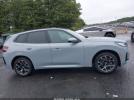 BMW X Series 30 Xdrive Image 5