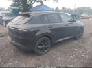 Dodge Hornet Image 6