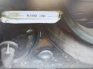 Dodge Hornet Image 5