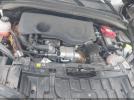 Dodge Hornet Image 8