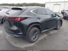 Lexus NX Premium Image 9