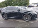 Lexus NX Premium Image 6