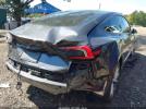 Tesla Model 3 Image 17